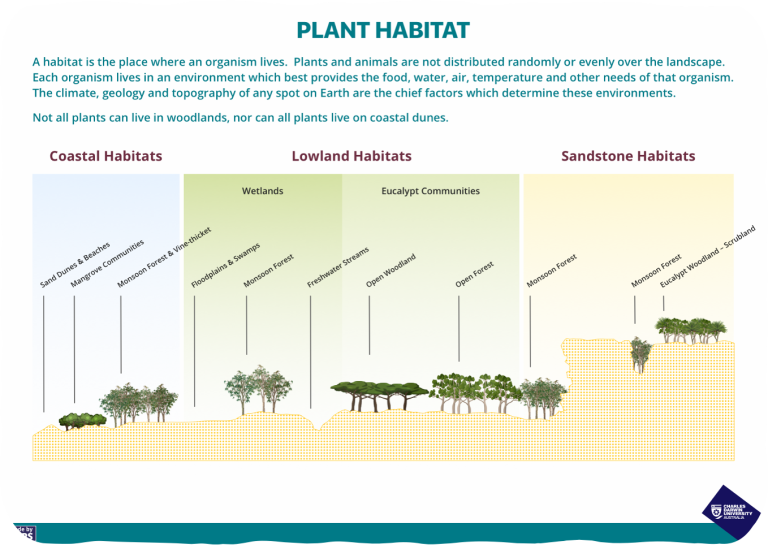 Plant Habitat Recognise Plants