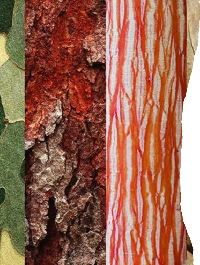 Three examples of bark