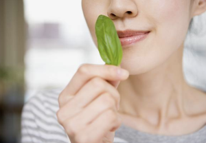 woman smelling basil leaf