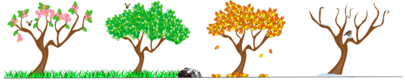 illustration of tree with green leaves, then brown, then leaves falling off tree
