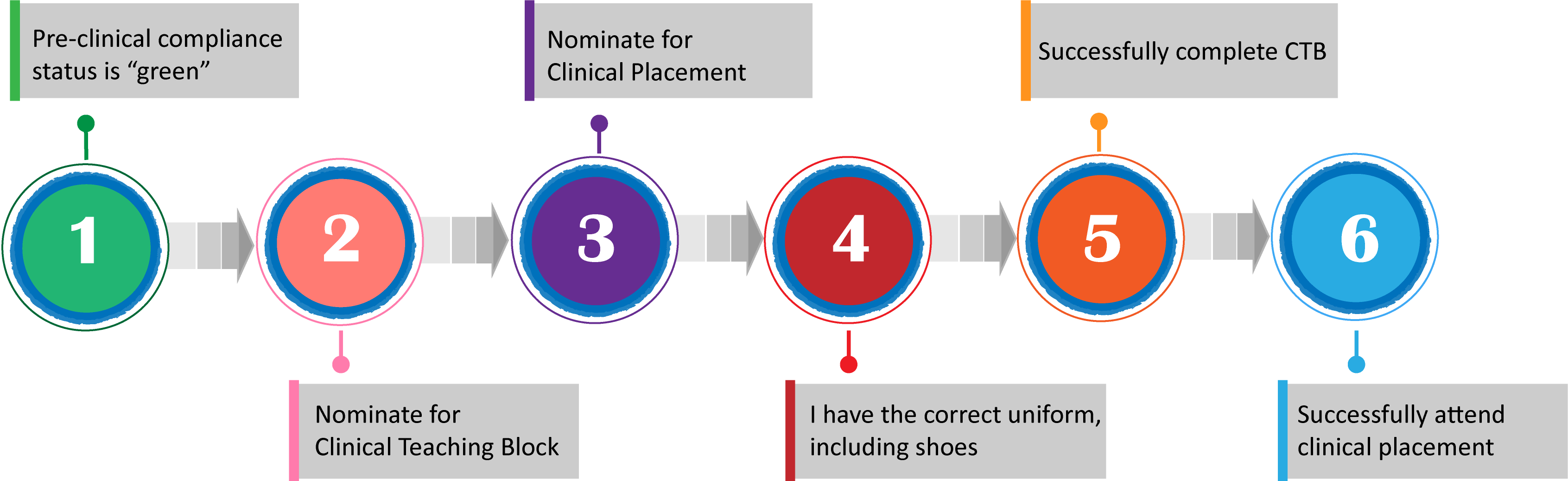 Overview of Clinical Placement Processes