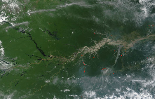 Aerial view of the Amazon River (Brazil). Author: NASA (PD-US)