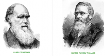 Comparative timeline – Darwin and Wallace – Wallacea and Biogeography