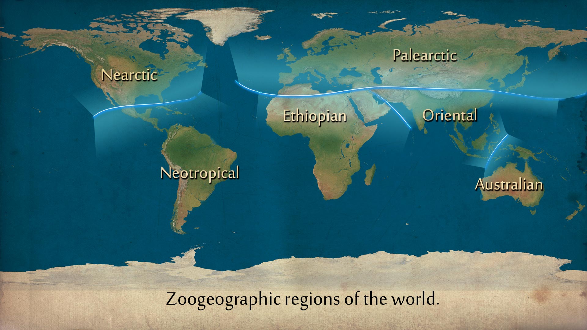 Sclater's zoogeographic divisions