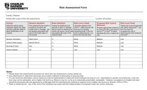 Example of a risk assessment form.