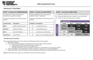 Example of a risk assessment form.