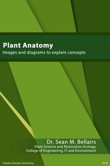 Plant Anatomy and Physiology book cover